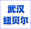 深圳市市紐貝爾電子有限公司武漢辦事處