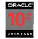 数据库Oracle 10 /11G 单CPU  25用户 企业版
