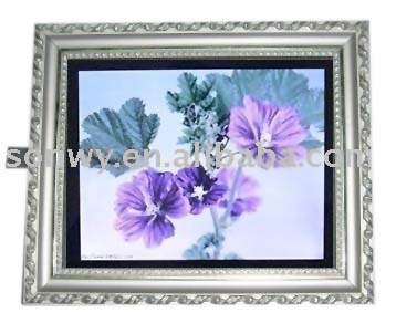 15&quot; digital photo frame DPF-1501B