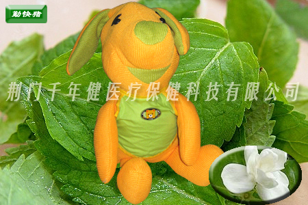 茉莉花茶勤快猪