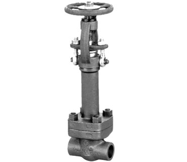  Forging Steel Sub-Zero Gate Valve