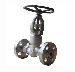  Forging Steel Flange Globe Valve 2