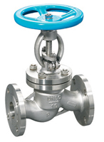 Flange Globe Valve