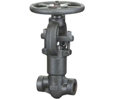 Forging Steel Globe Valve 2