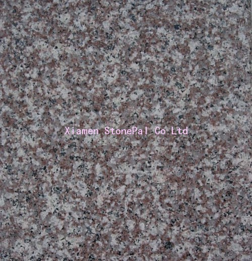 granite G664