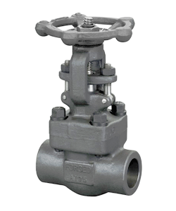  Forging Steel Gate Valve 2