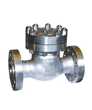 API Check Valve