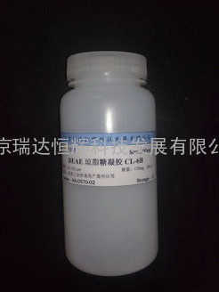 DEAE-琼脂糖凝胶 CL-6B