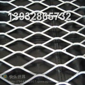 专业生产热镀锌钢板网