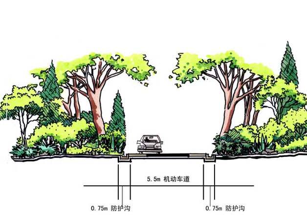 道路 公路绿化 园路景观类园林设计方案与施工图库