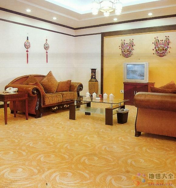 南京专业地毯清洗公司