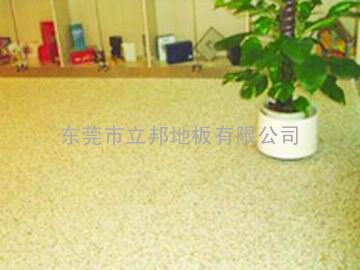 东莞市立邦工业地板有限公司