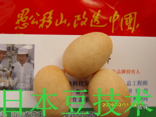	日本豆生产技术