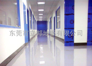 东莞市立邦环氧树脂地坪有限公司