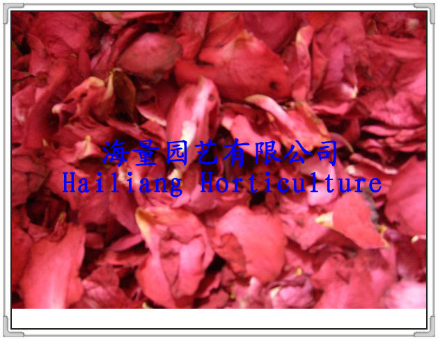 玫瑰花瓣供应|玫瑰干花瓣供应|昆明玫瑰花瓣供应|美容花瓣供应
