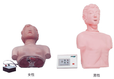 半身心肺复苏训练模拟人(简易型,男女任选)