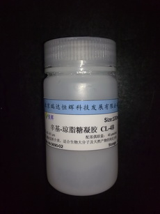 辛基-琼脂糖凝胶 CL-4B