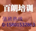 《工资支付条例》解读与薪酬设计、2010年企业劳动用工环境形势分析