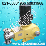 J-D3000/1.0大流量高压力计量泵