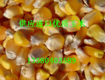 供应小麦，玉米，麸皮 大小麦 棉粕