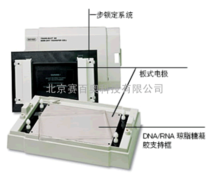 美国Bio-rad伯乐蛋白转印系统转印槽转印仪