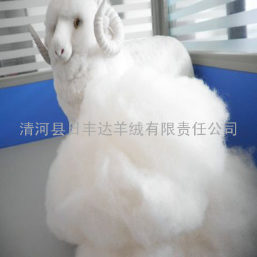 供应优质无毛山羊绒原料 2010年羊绒价格
