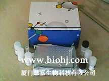人白介素12(IL-12/P40)ELISA试剂盒