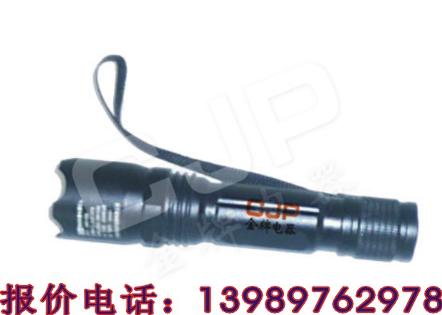 品牌：金牌电器 JW7300B JW7300B 微型防爆电筒JW7300B