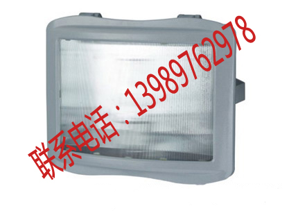 NSC9720 防眩通路灯 NSC9720 NSE9720 品牌：金牌电器 NSC9720