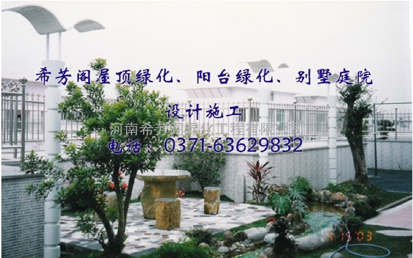 河南郑州无土草坪 快速绿化 屋顶花园 阳台绿化