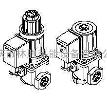 EG12系列燃气电磁阀(Brahma)