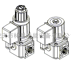EG15系列燃气电磁阀(Brahma)