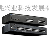 Brocade FastIron Edge PoE系列以太网中低端交换机