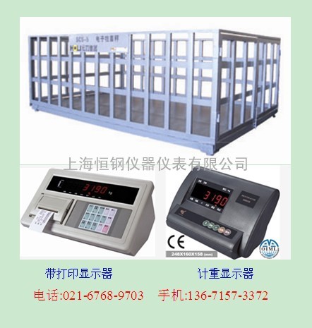 地上衡（10T）报价，10T电子磅秤