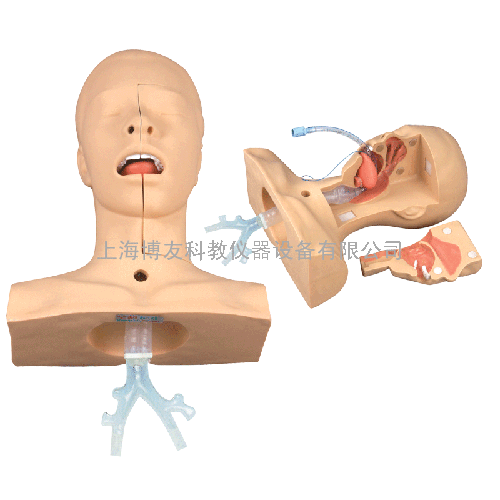 高级吸痰练习模型,吸痰护理操作模型