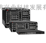 Brocade ServerIron ADX系列以太网交换机