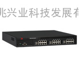 Brocade ServerIron XL系列以太网交换机