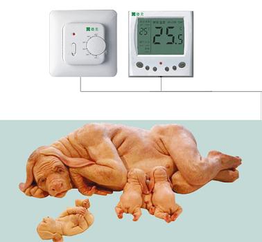 合肥德美猪用地暖发热系统
