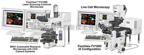 FluoView&amp;#8482; FV1000共聚焦显微镜