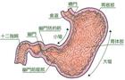 植物神经功能紊乱、抑郁症康复病历