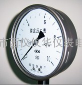 膜盒压力表 YE-100/YE-150
