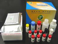 绿诗源磺胺嘧啶检测试剂盒