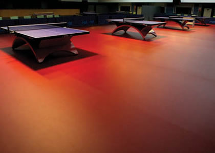 乒乓球塑胶运动地板