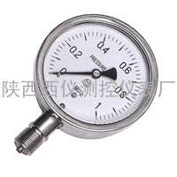 现货 YTF-150/YTF-100全不锈钢压力表，防腐压力表，压力表