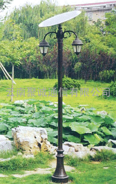 云南新农村建设的太阳能庭院灯