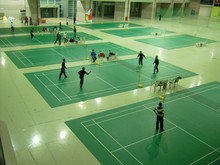 羽毛球PVC塑胶地板,羽毛球运动地板地胶