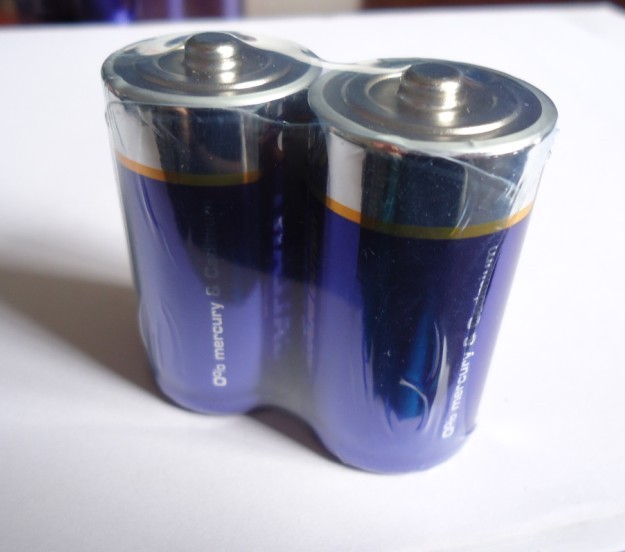 碱性电池（AM1-LR20-D型-1号）