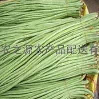 深圳蔬菜配送-供应豆角