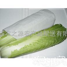 深圳蔬菜配送-供应长白菜