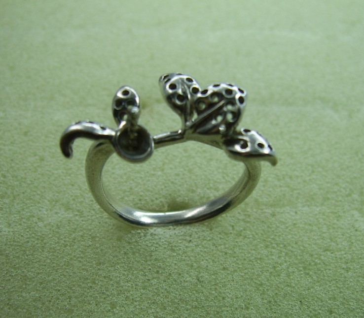 Traditional designs  ring